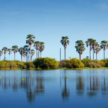 Selous Game Reserve landscape, Tanzania safari, Africa