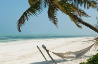 A net hammock swings beneath a palm tree on a white sand beach, Zanzibar Beach, Tanzania - Yellow Zebra Safaris