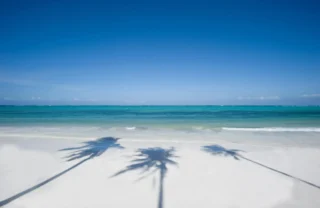 Shadow of palm trees on white sand beaches, Zanzibar, Tanzania - Yellow Zebra Safaris