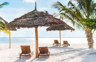 Beach loungers beneath a palm cabana looking out onto the ocean, Konokono Beach Resort, Zanzibar Tanzania - Yellow Zebra Safaris