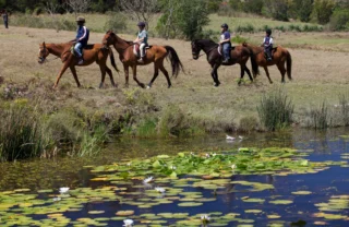 Horse riding, Mufindi Highland Lodge, Tanzania