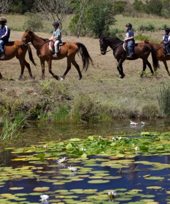 Horse riding, Mufindi Highland Lodge, Tanzania