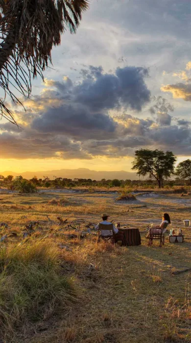 Sundowners in the bush, Meru national park, Kenya
