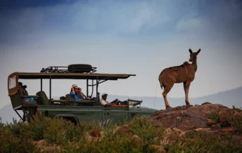 game drives