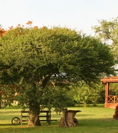 Sosian gardens