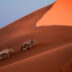 Two Oryx climb the red dunes, Namibia - Yellow Zebra Safaris