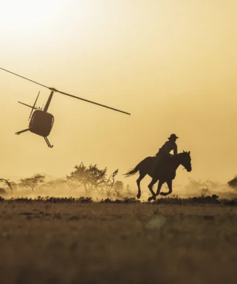 OL MALO 2018 EPIC HELI HORSE 1