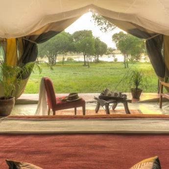 A view from the head of the bed in a tent through to the greenery outside, Kicheche, Laikipia, Kenya - Yellow Zebra Safari
