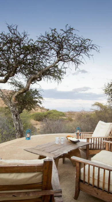 lewa wilderness viewing area kenya yellow zebra safaris