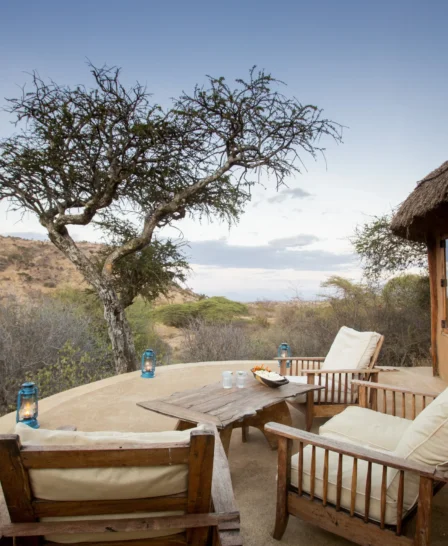 lewa wilderness viewing area kenya yellow zebra safaris