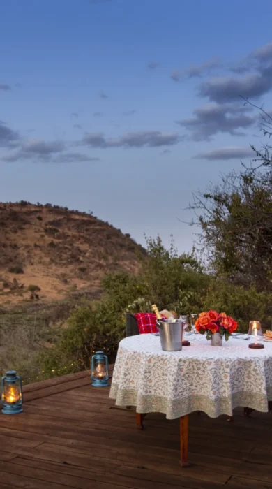lewa wilderness private dinner kenya yellow zebra safaris