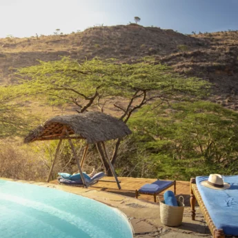 lewa wilderness pool area kenya yellow zebra safaris