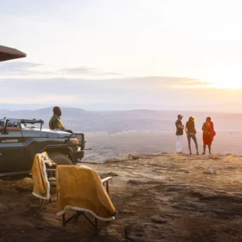 lewa wilderness sundowners kenya yellow zebra safaris