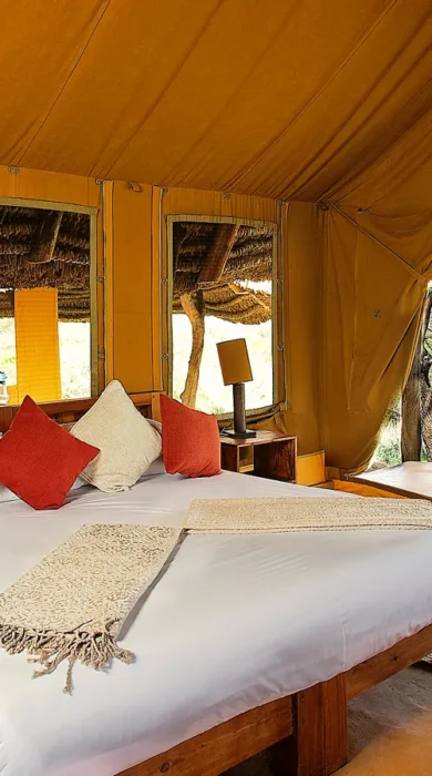 lewa safari camp family ten