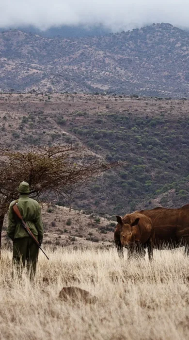 guided walks in the conservancy