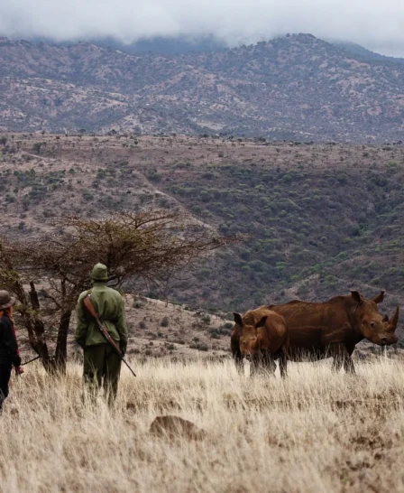 guided walks in the conservancy