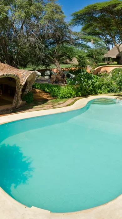 Lewa House swimming pool