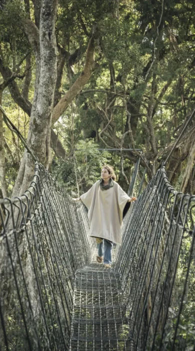 Lewa House walk