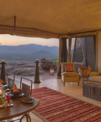 saruni samburu main area kenya yellow zebra safaris
