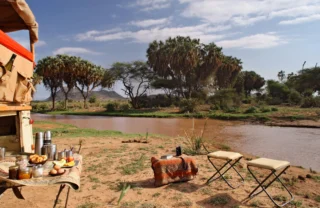 saruni samburu bush picnic kenya yellow zebra safaris