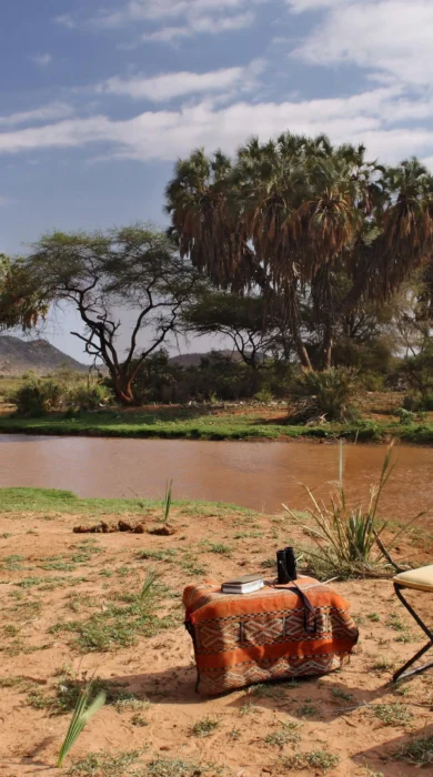 saruni samburu bush picnic kenya yellow zebra safaris