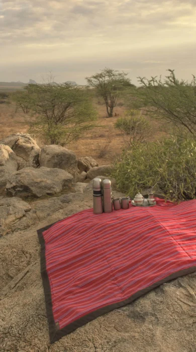 saruni samburu wilderness picnic kenya yellow zebra safaris