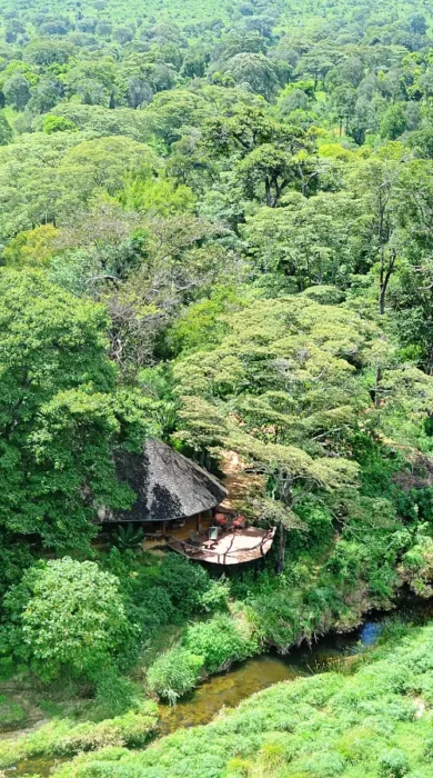 aerial view