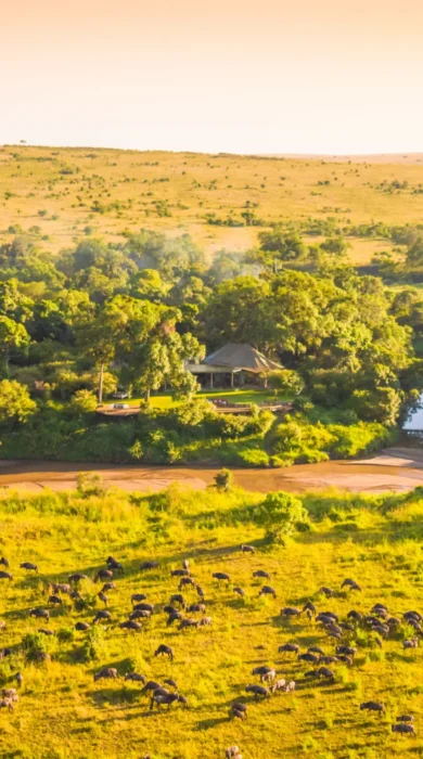 great migration at salas camp kenya