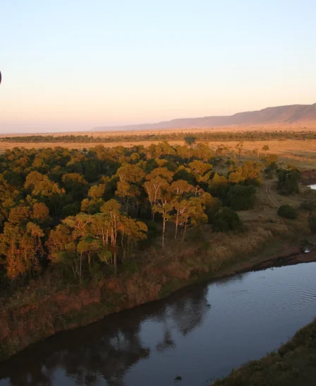 governors camp hot air balloon kenya yellow zebra safaris
