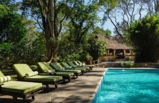 pool, rivertrees country inn, tanzania - yellow zebra safaris