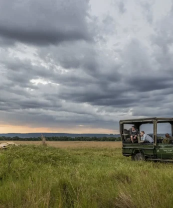 game drive, governors il moran camp, maasai mara, kenya