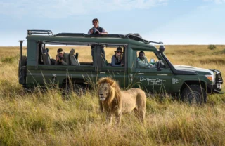 lion safari govenors private camp kenya