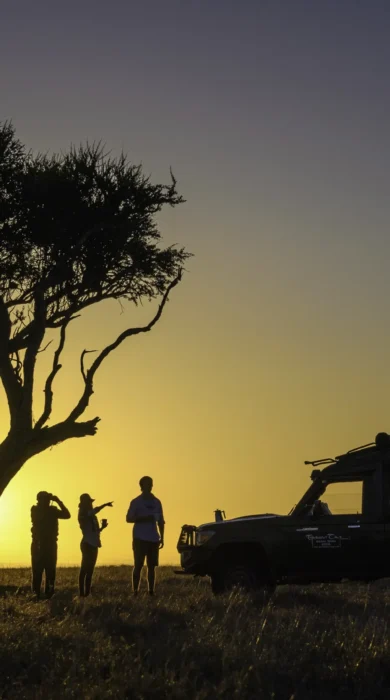 little governors sundowners kenya yellow zebra safaris