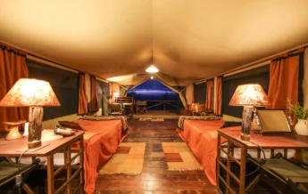 kilima camp twin room kenya yellow zebra safaris