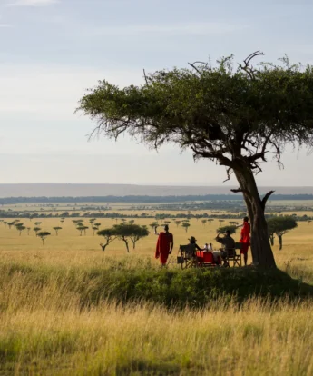 Kilima Camp Masai Mara other bush breakfast kilima 67