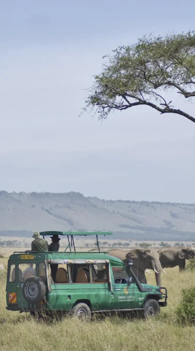 07 Game Drive Experience