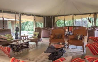 safari camp