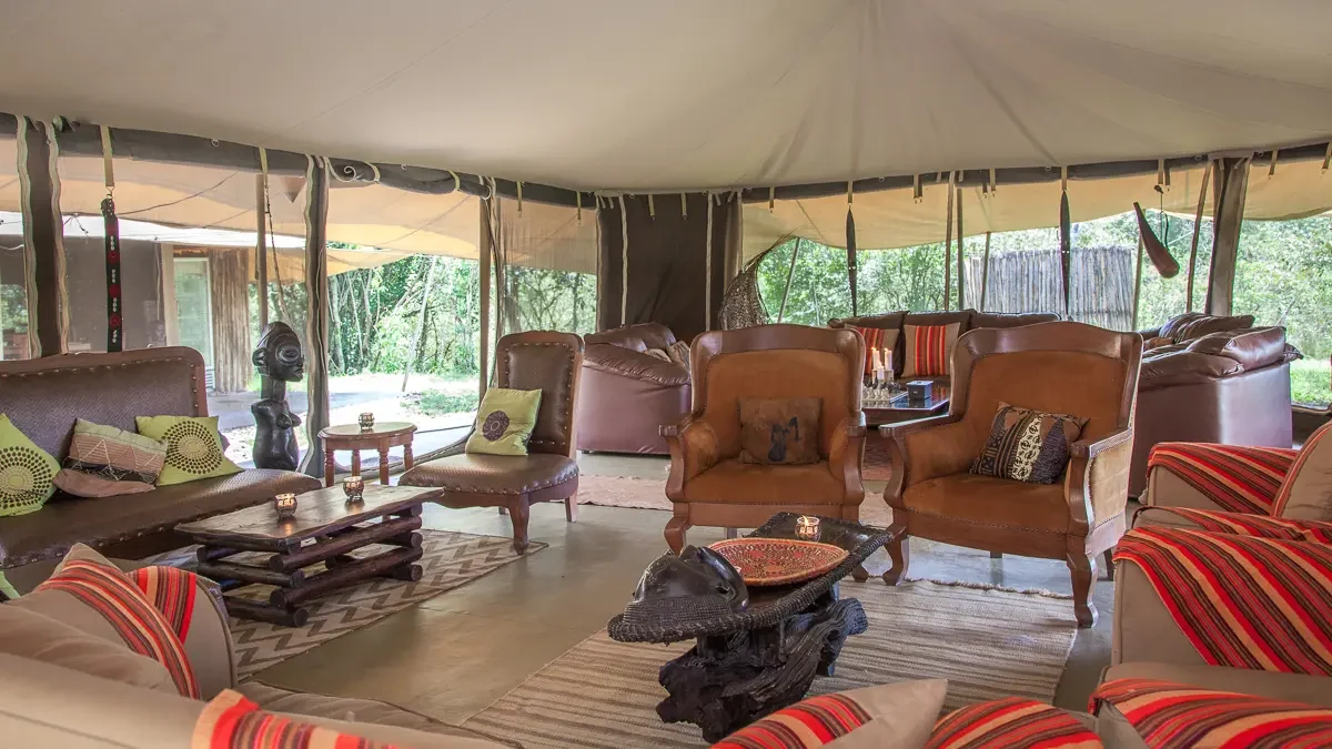safari camp