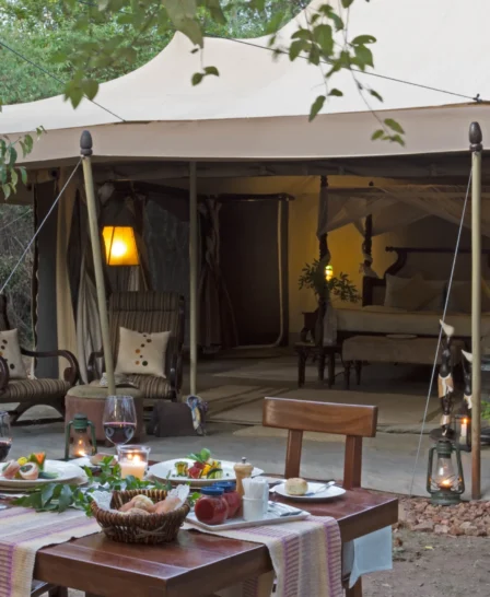 safari camp dinner