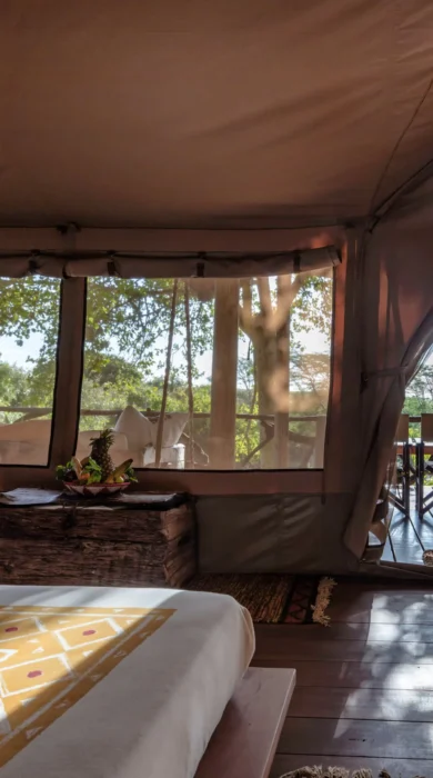 tent basecamp maasai mara kenya yellow zebra safaris