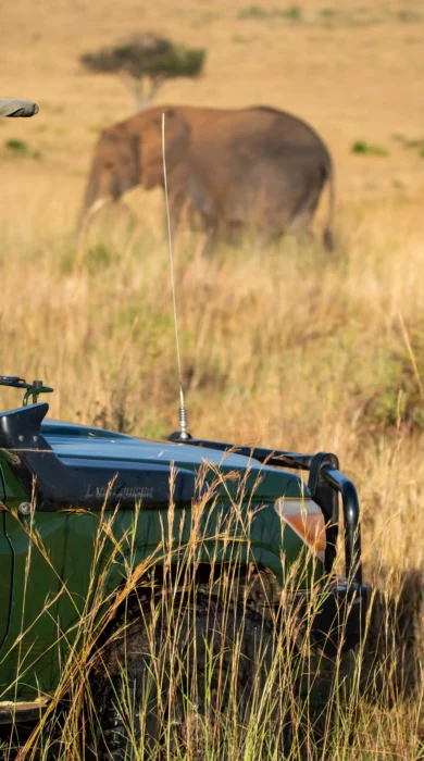 sand rivers tanzania game drives