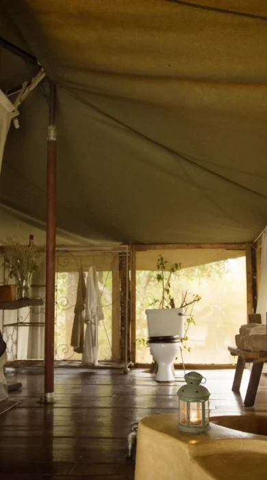ngare serian tanzania bathroom yellow zebra safaris