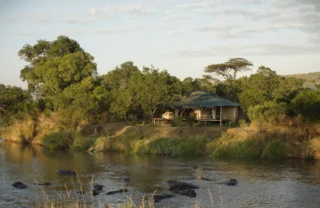 ngare serian tanzania camp view yellow zebra safaris
