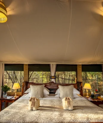 Room, Offbeat Mara Camp, Maasai Mara, Kenya
