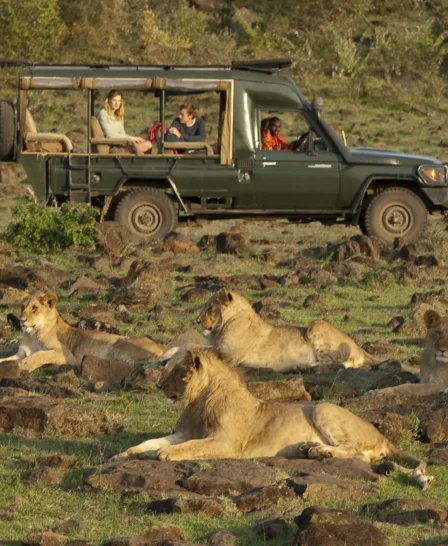 Game Drive, Offbeat Mara Camp, Maasai Mara, Kenya