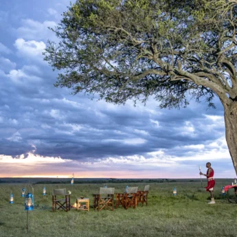 Sundowners are prepared under an acacia tree, Offbeat Mara Camp, Maasai Mara, Kenya - Yellow Zebra Safari