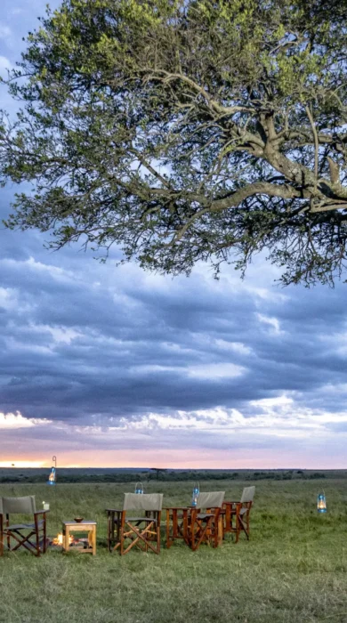 Sundowners are prepared under an acacia tree, Offbeat Mara Camp, Maasai Mara, Kenya - Yellow Zebra Safari