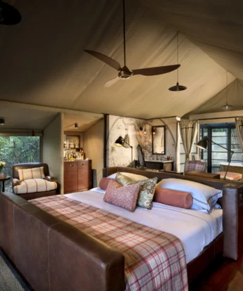 Bateleur room 2018 01