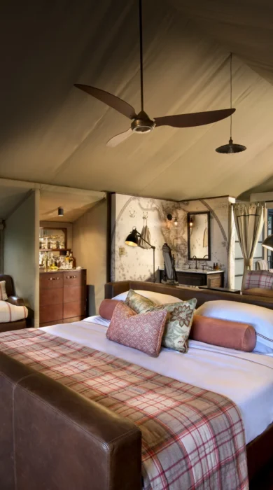 Bateleur room 2018 01