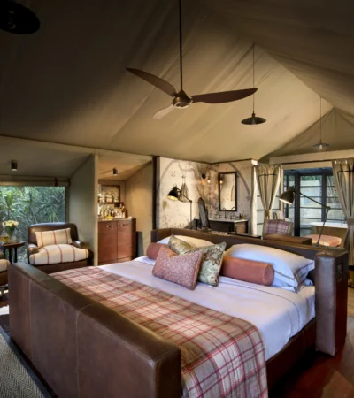 Bateleur room 2018 01